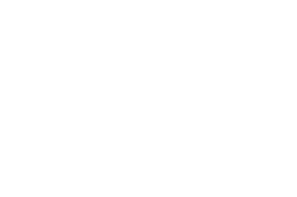 Molotov Cocktails logo